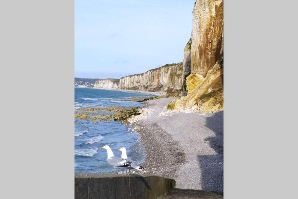Le Nid Colas Cour Au Sud Velos A Dispo Fecamp Luaran gambar